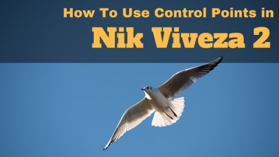 Use control points in Nik Collection Viveza 2