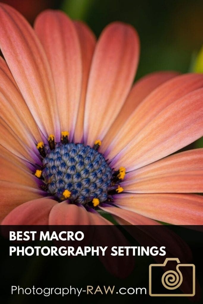Best Macro Photography Settings