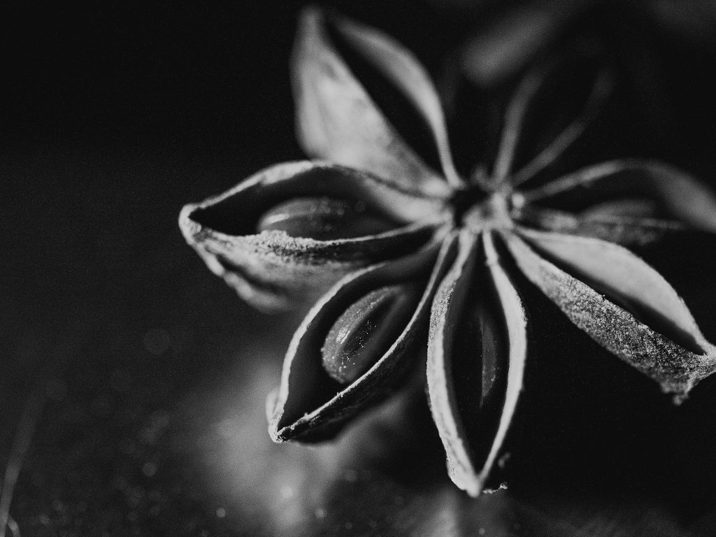 spice close up in BW